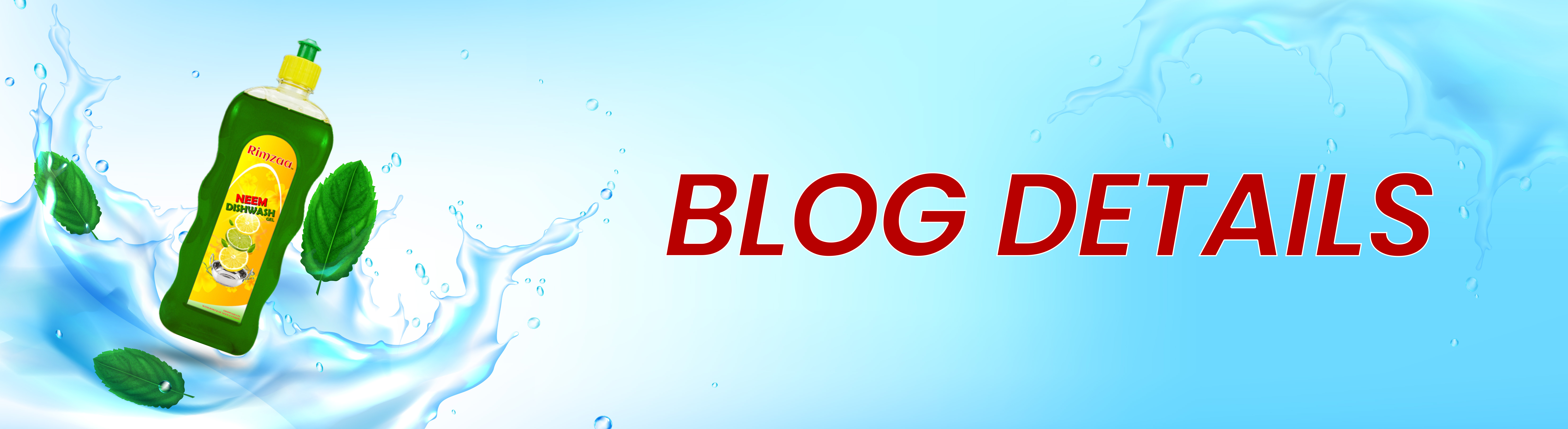 Our Blogs
